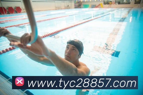 App Interface Preview